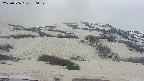 area2-20250506130037.jpg