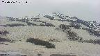 area2-20250506133037.jpg