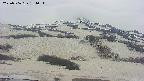 area2-20250506134039.jpg