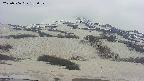 area2-20250506135036.jpg