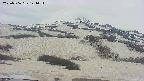 area2-20250506141034.jpg
