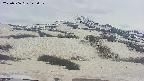 area2-20250506145036.jpg