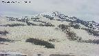 area2-20250506150036.jpg