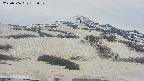 area2-20250506153037.jpg