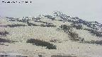area2-20250506161042.jpg