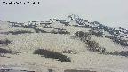 area2-20250506162033.jpg