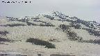 area2-20250506164042.jpg
