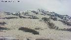 area2-20250506180036.jpg