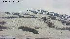 area2-20250506182034.jpg