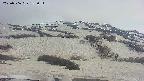 area2-20250506183034.jpg