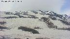 area2-20250507100038.jpg