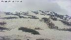 area2-20250507101155.jpg