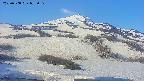 area2-20250508055034.jpg