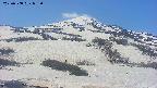 area2-20250508083041.jpg