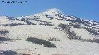 area2-20250508085259.jpg