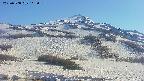 area2-20250508162039.jpg