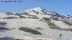area2-20250509062048.jpg