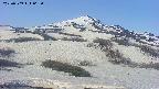 area2-20250509063038.jpg