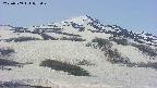 area2-20250509073030.jpg