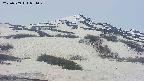 area2-20250509091029.jpg