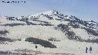 area2-20250509114238.jpg