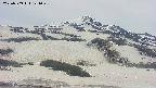 area2-20250509124104.jpg