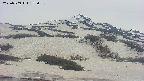 area2-20250509153039.jpg