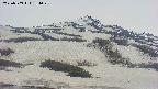 area2-20250509154054.jpg