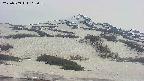 area2-20250509162051.jpg