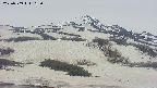 area2-20250509165049.jpg