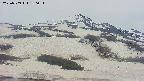area2-20250509180041.jpg