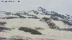 area2-20250509181041.jpg