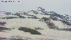 area2-20250509182052.jpg
