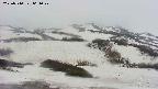 area2-20250510061029.jpg