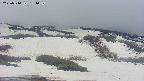 area2-20250510151040.jpg
