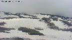area2-20250510160032.jpg