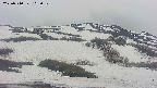 area2-20250510165031.jpg