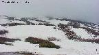 area2-20250510182030.jpg