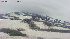 area2-20250511181029.jpg