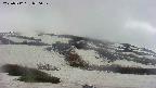 area2-20250512050032.jpg