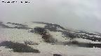 area2-20250512051030.jpg