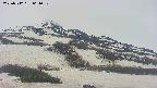 area2-20250512064031.jpg