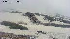 area2-20250512151030.jpg