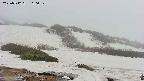 area2-20250512160031.jpg