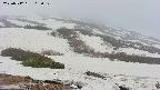 area2-20250512165031.jpg
