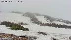 area2-20250512180030.jpg