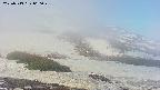 area2-20250513060030.jpg