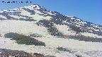 area2-20250513085032.jpg