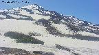 area2-20250513103029.jpg