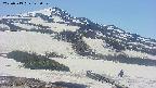 area2-20250513125031.jpg